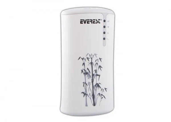 Everest EWN-729P Access Point