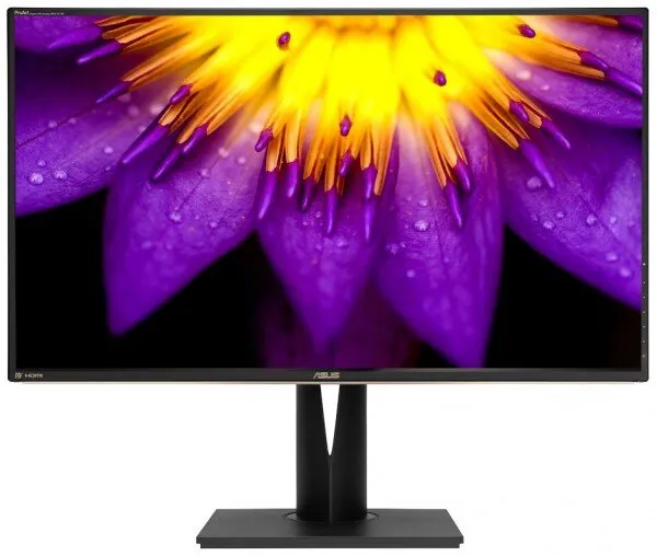 Asus ProArt PA329Q Monitör