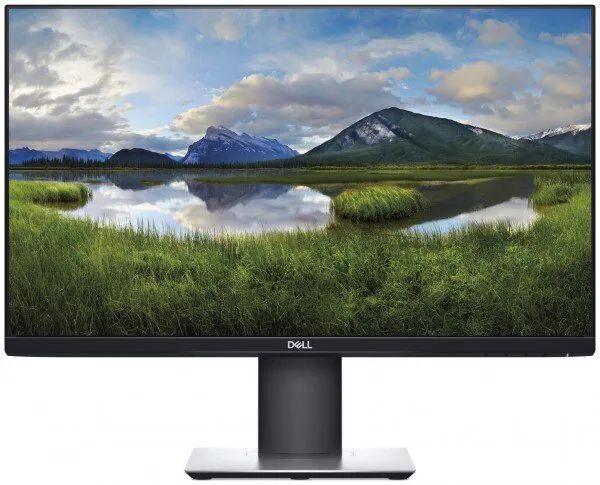 Dell P2419H Monitör