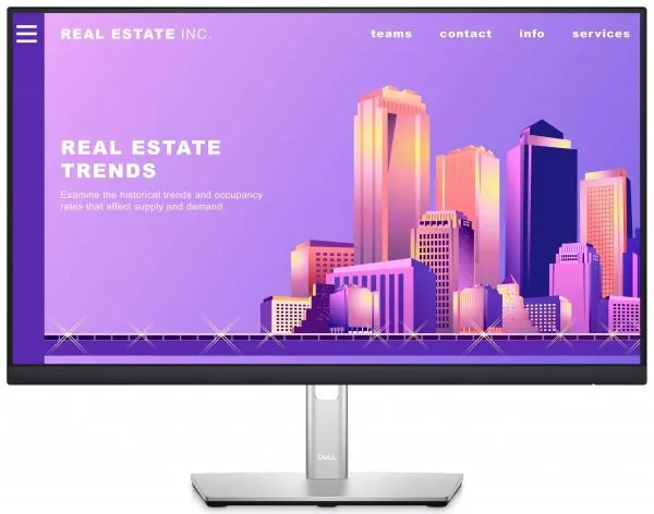 Dell P2422H Monitör
