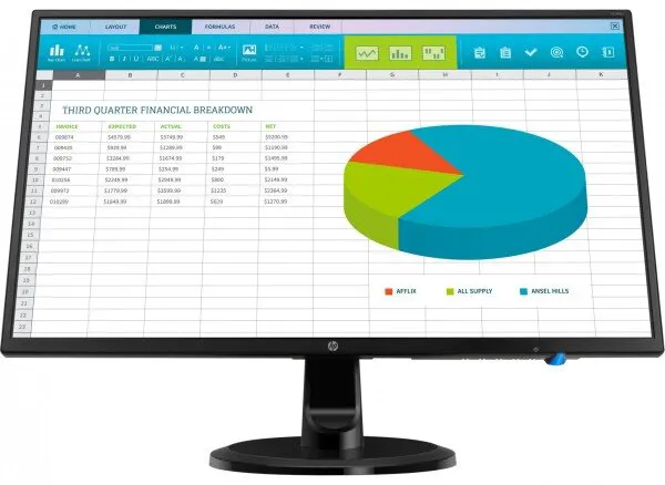 HP N246v (3NS59AA) Monitör