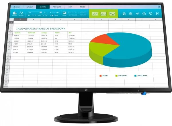 HP N246v (3NS59AS) Monitör