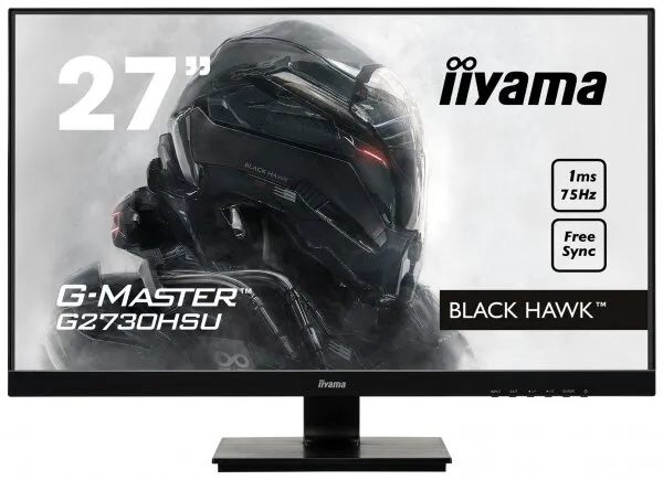 Iiyama G-Master G2530HSU-B1 Monitör