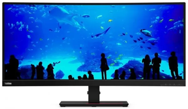 Lenovo ThinkVision T34w-20 (61F3GAT1TK) Monitör