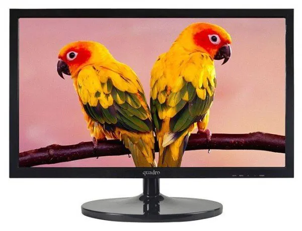 Quadro 215QE Monitör