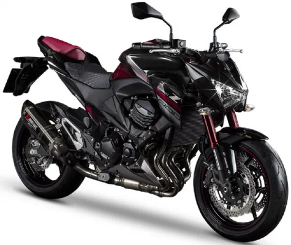 Kawasaki Z800 Sugomi Motosiklet