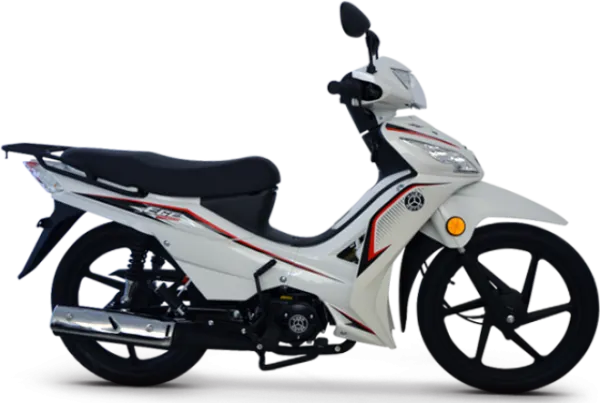 Kuba Ege 100 Motosiklet