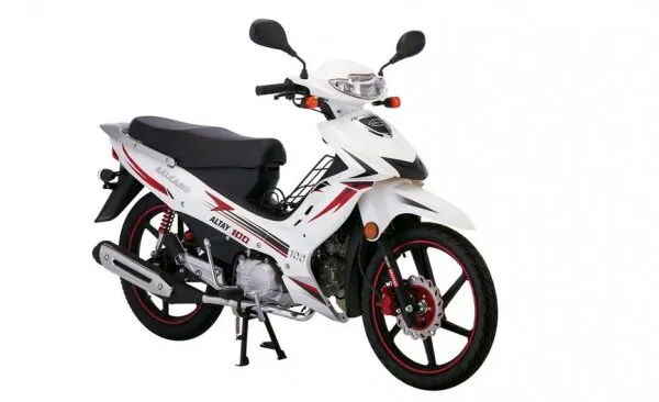 Salcano ALTAY 100 Motosiklet