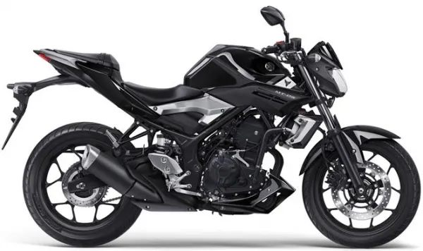 Yamaha MT-25 Motosiklet