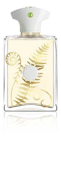 Amouage Bracken EDP 100 ml Erkek Parfümü