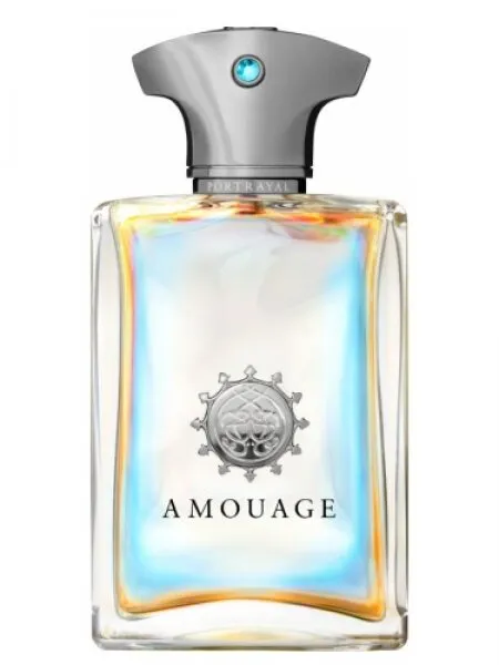 Amouage Portrayal EDP 100 ml Erkek Parfümü