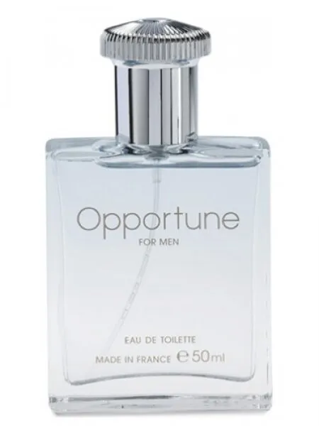 Amway Opportune EDT 50 ml Erkek Parfümü