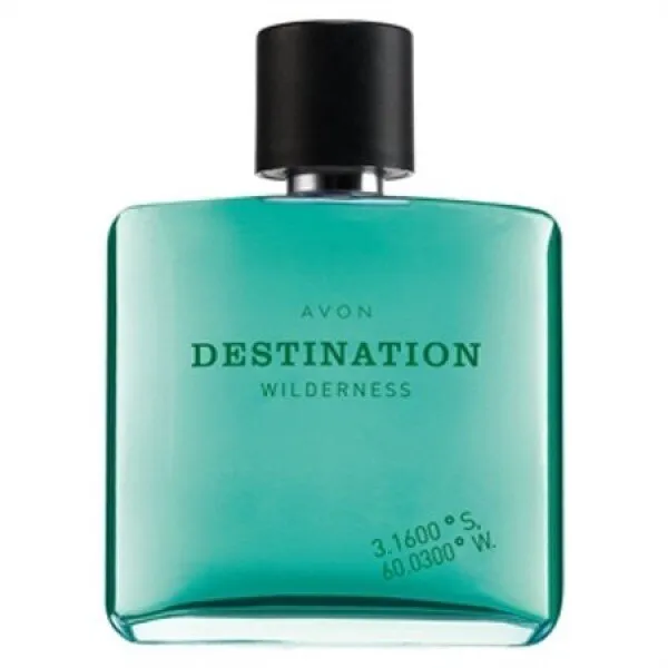 Avon Horizon Wilderness EDT 75 ml Erkek Parfümü