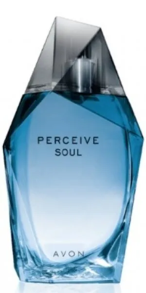 Avon Perceive Soul EDT 100 ml Erkek Parfümü