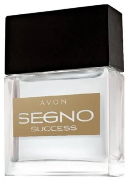 Avon Segno Success EDP 30 ml Erkek Parfümü