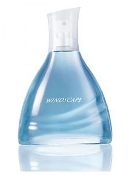 Avon Windscape EDT 75 ml Erkek Parfümü