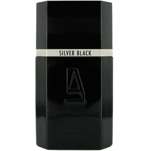 Azzaro Silver Black EDT 30 ml Erkek Parfümü