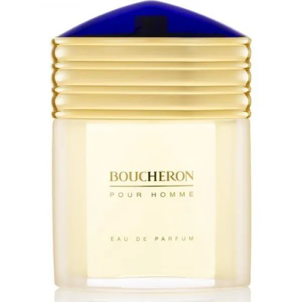 Boucheron EDP 100 ml Erkek Parfümü