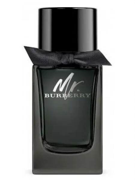 Burberry Mr. Burberry EDP 100 ml Erkek Parfümü