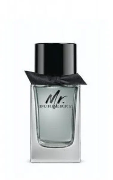 Burberry Mr. Burberry EDT 100 ml Erkek Parfümü