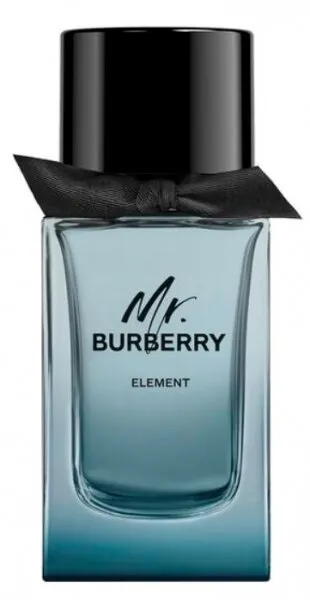 Burberry Mr. Burberry Element EDT 100 ml Erkek Parfümü