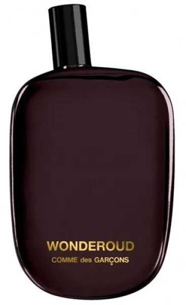 Comme Des Garcons Wonderoud EDP 100 ml Unisex Parfümü