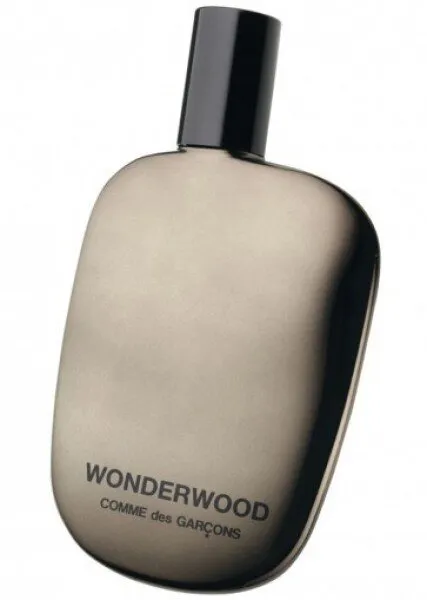 Comme Des Garcons Wonderwood EDP 100 ml Unisex Parfümü