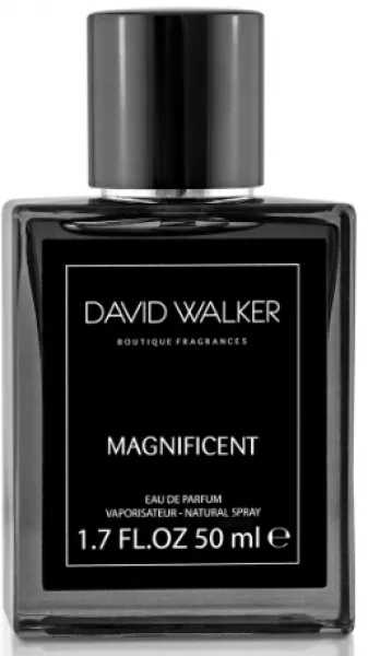 David Walker Boutıque Magnificent EDP 50 ml Erkek Parfümü