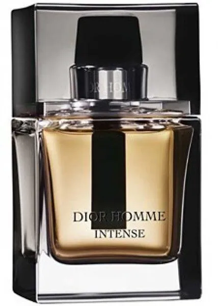 Dior Intense EDP 100 ml Erkek Parfümü