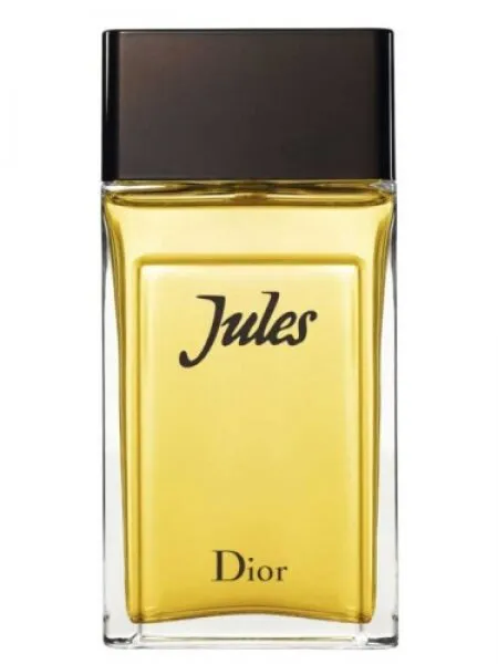 Dior Jules EDT 100 ml Erkek Parfümü