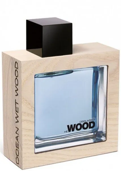 Dsquared2 Ocean Wet Wood EDT 100 ml Erkek Parfümü