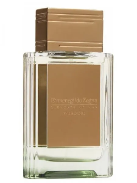 Ermenegildo Zegna Wisdom EDP 100 ml Erkek Parfümü