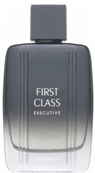 Etienne Aigner First Class Executive EDT 100 ml Erkek Parfümü
