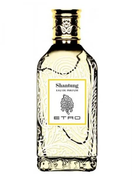 Etro Shantung EDP 100 ml Unisex Parfüm
