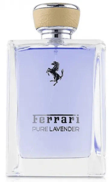 Ferrari Pure Lavender EDT 100 ml Erkek Parfümü