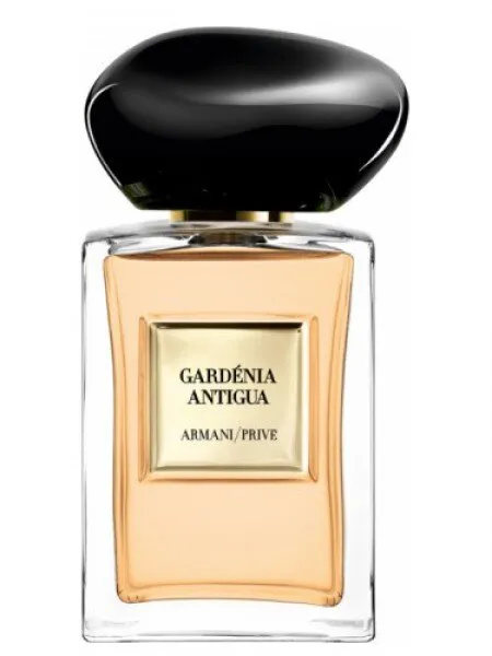 Giorgio Armani Gardenia Antigua EDT 100 ml Unisex Parfüm