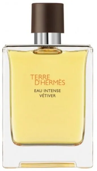 Hermes Terre D'Hermes Eau Intense Vetiver EDP 100 ml Erkek Parfümü