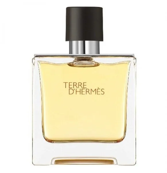 Hermes Terre D'Hermes EDP 200 ml Erkek Parfümü