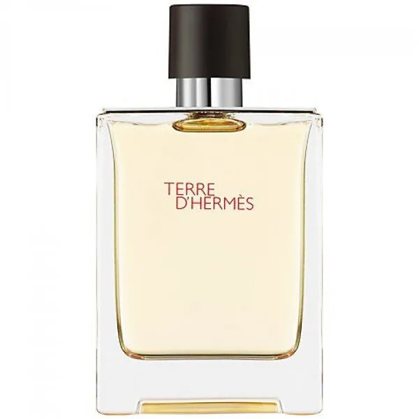 Hermes Terre D'Hermes EDT 100 ml Erkek Parfümü