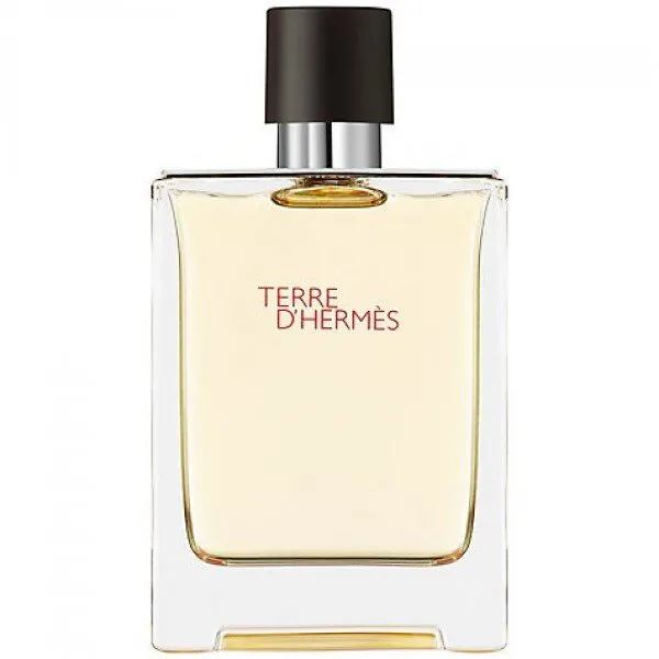 Hermes Terre D'Hermes EDT 50 ml Erkek Parfümü