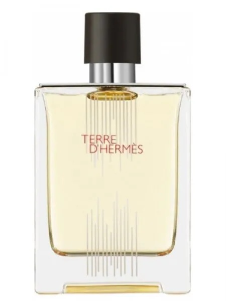 Hermes Terre d'Hermes Flacon H 2021 EDT 100 ml Erkek Parfümü