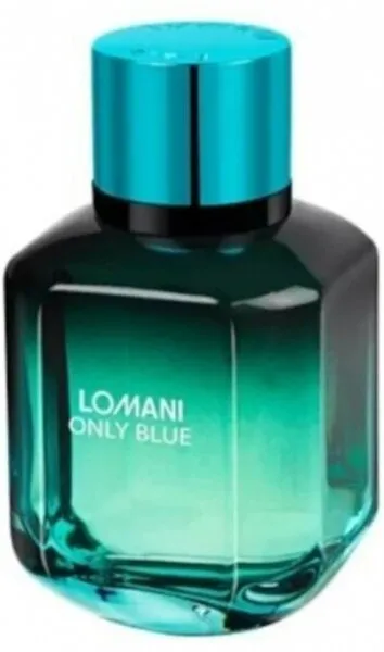 Lomani Only Blue EDT 100 ml Erkek Parfümü