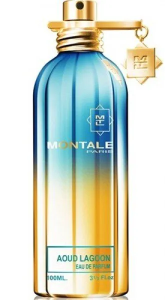 Montale Aoud Lagoon EDP 100 ml Unisex Parfümü