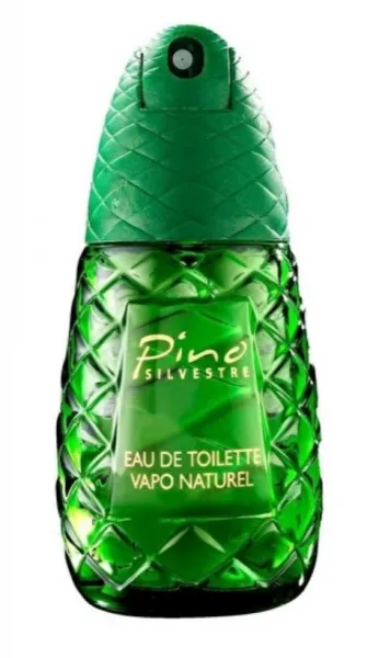 Pino Silvestre EDT 40 ml Erkek Parfümü