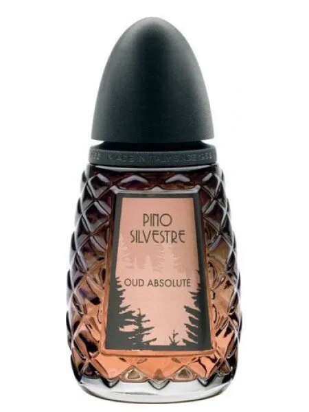 Pino Silvestre Oud Absolute EDT 125 ml Erkek Parfümü