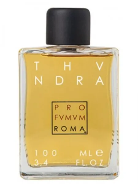 Profumum Roma Thundra EDP 100 ml Unisex Parfüm