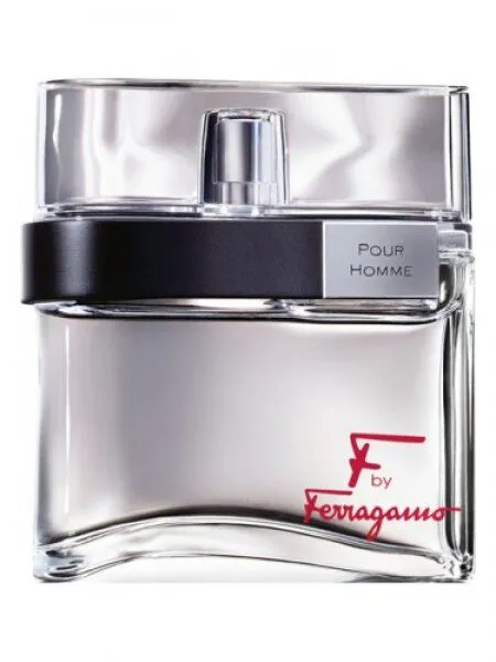 Salvatore Ferragamo F by Ferragamo EDT 100 ml Erkek Parfümü