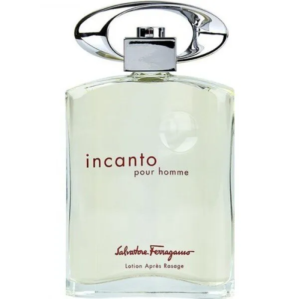 Salvatore Ferragamo Incanto EDT 100 ml Erkek Parfümü