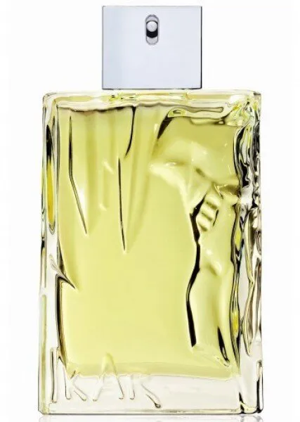 Sisley Eau D'ikar EDT 100 ml Erkek Parfümü