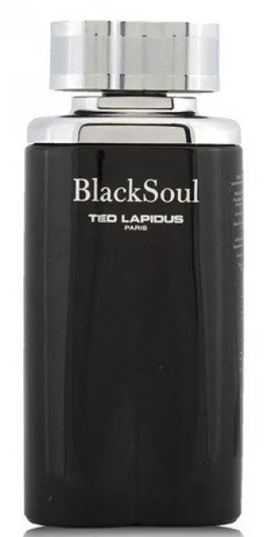 Ted Lapidus Black Soul EDT 100 ml Erkek Parfümü
